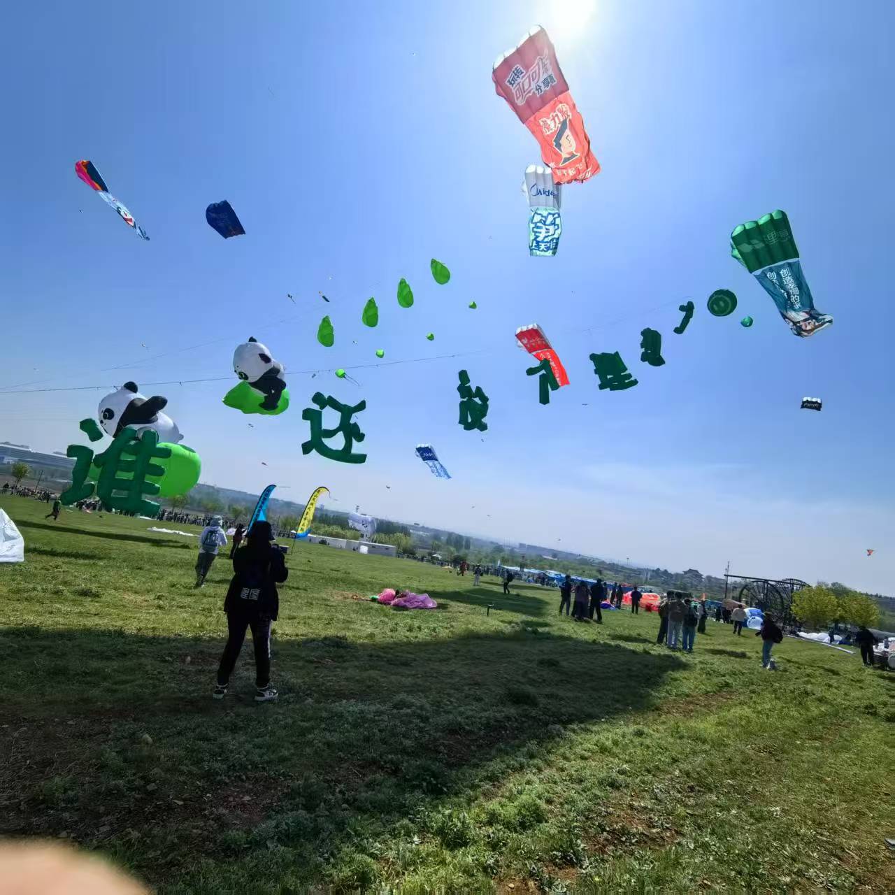 通化市风筝批发风筝定制 - 哪里好